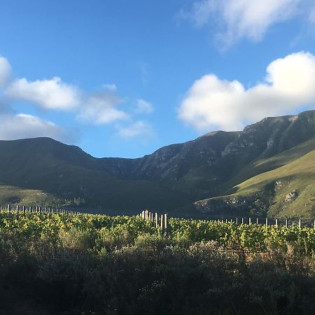 Misty Mountains Βίλα Hermanus Εξωτερικό φωτογραφία