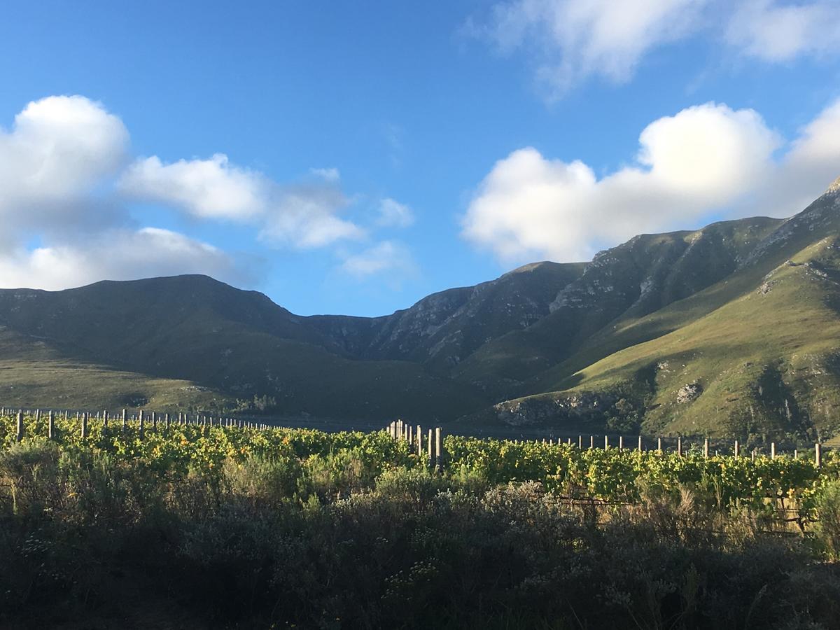 Misty Mountains Βίλα Hermanus Εξωτερικό φωτογραφία