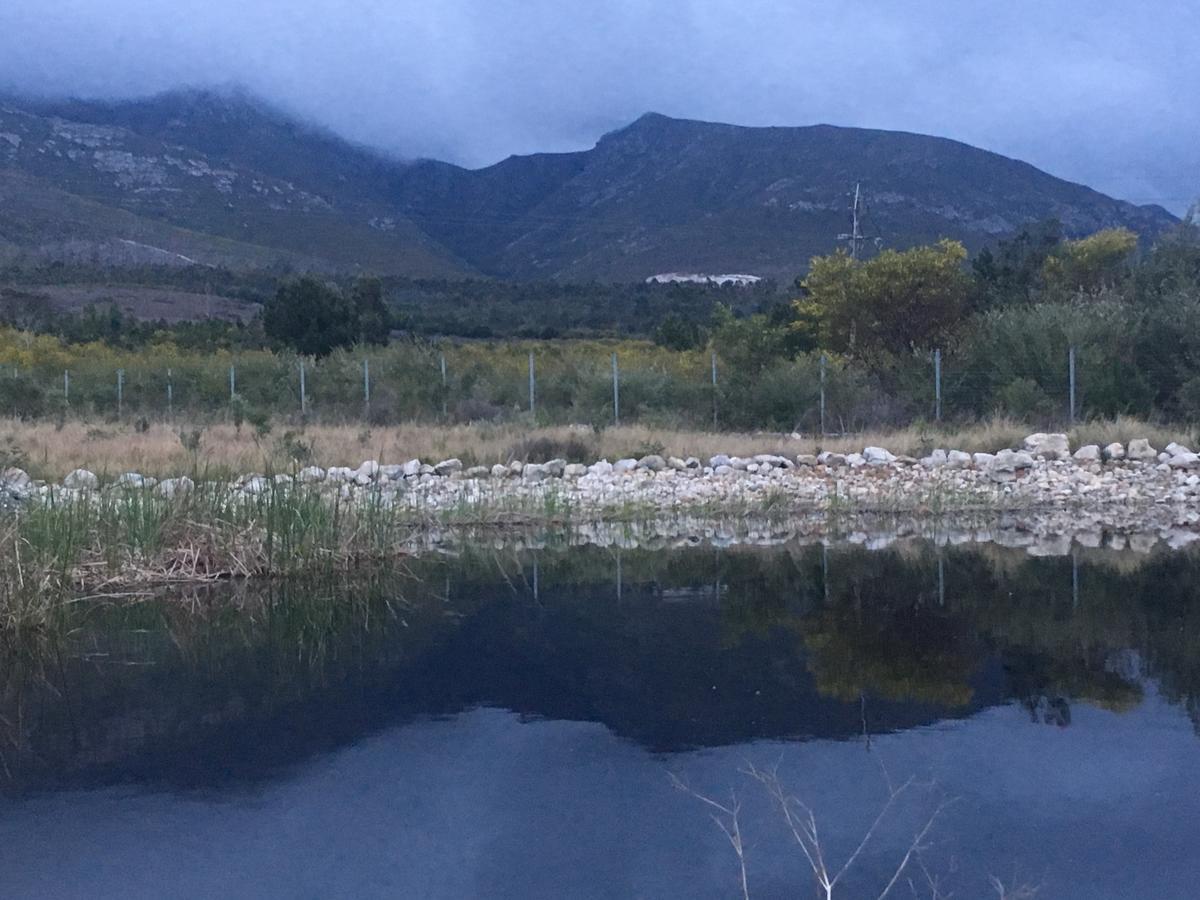 Misty Mountains Βίλα Hermanus Εξωτερικό φωτογραφία